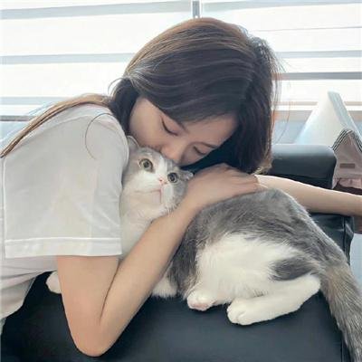 高墙